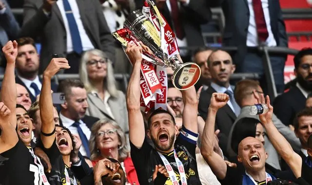 Southampton secure return to Premier League after winning Championship play-off final 