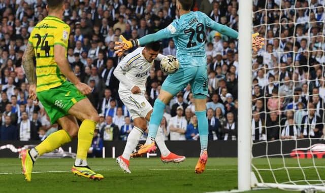 'It won't matter' - Leeds United fans on Norwich romp, Wembley play-off final and £10m boost