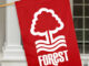 Nottingham Forest have officially been Relegated from the premier league while Brentford are on the verge of joining them in Demotion to the Championship