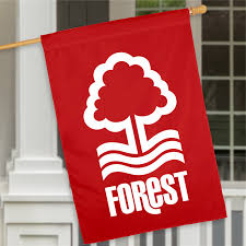Nottingham Forest have officially been Relegated from the premier league while Brentford are on the verge of joining them in Demotion to the Championship