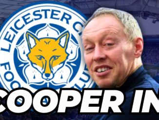 Why Steve Cooper is a good appointment for Leicester City
