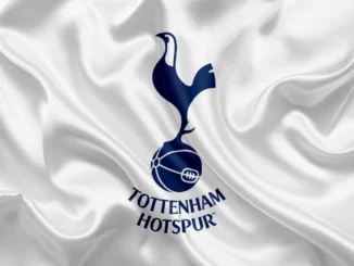 Tottenham officially announce two new incomings 
