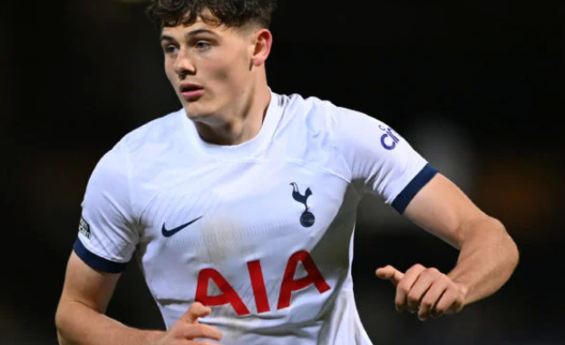 Alasdair Gold shares what Tottenham are privately telling clubs about Will Lankshear