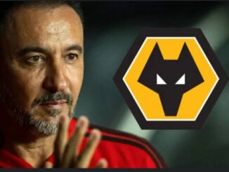 Wolves Appoint Vítor Pereira as Head Coach Amidst Defensive Struggles"