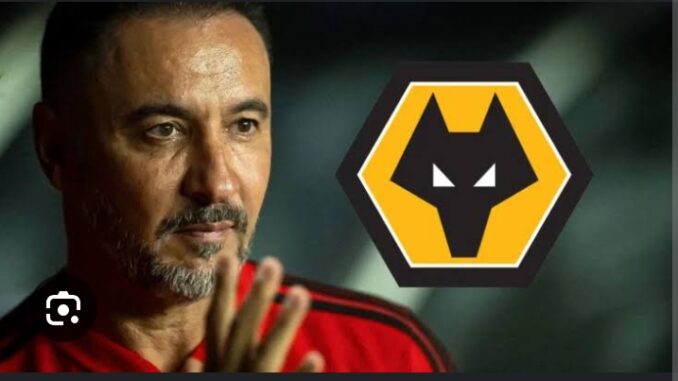 Wolves Appoint Vítor Pereira as Head Coach Amidst Defensive Struggles"