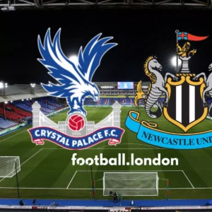 Newcastle considering Crystal Palace star to replace Callum Wilson?