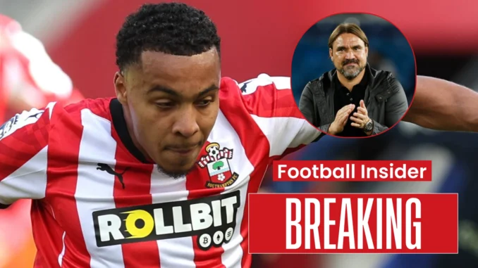 There is a problem':Daniel Farke breaks silence on why Leeds United did not sign Cameron Archer from Southampton