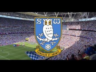 What did you make of Sheffield Wednesday's transfer business? - Revealed