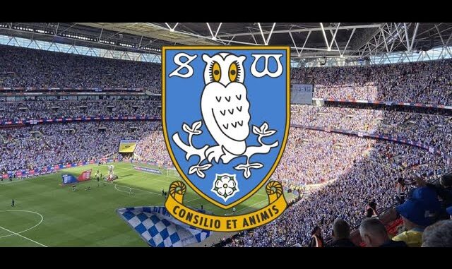 What did you make of Sheffield Wednesday's transfer business? - Revealed