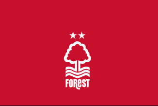 Nottingham Forest star has just admitted it was actually Brennan Johnson who persuaded him to join